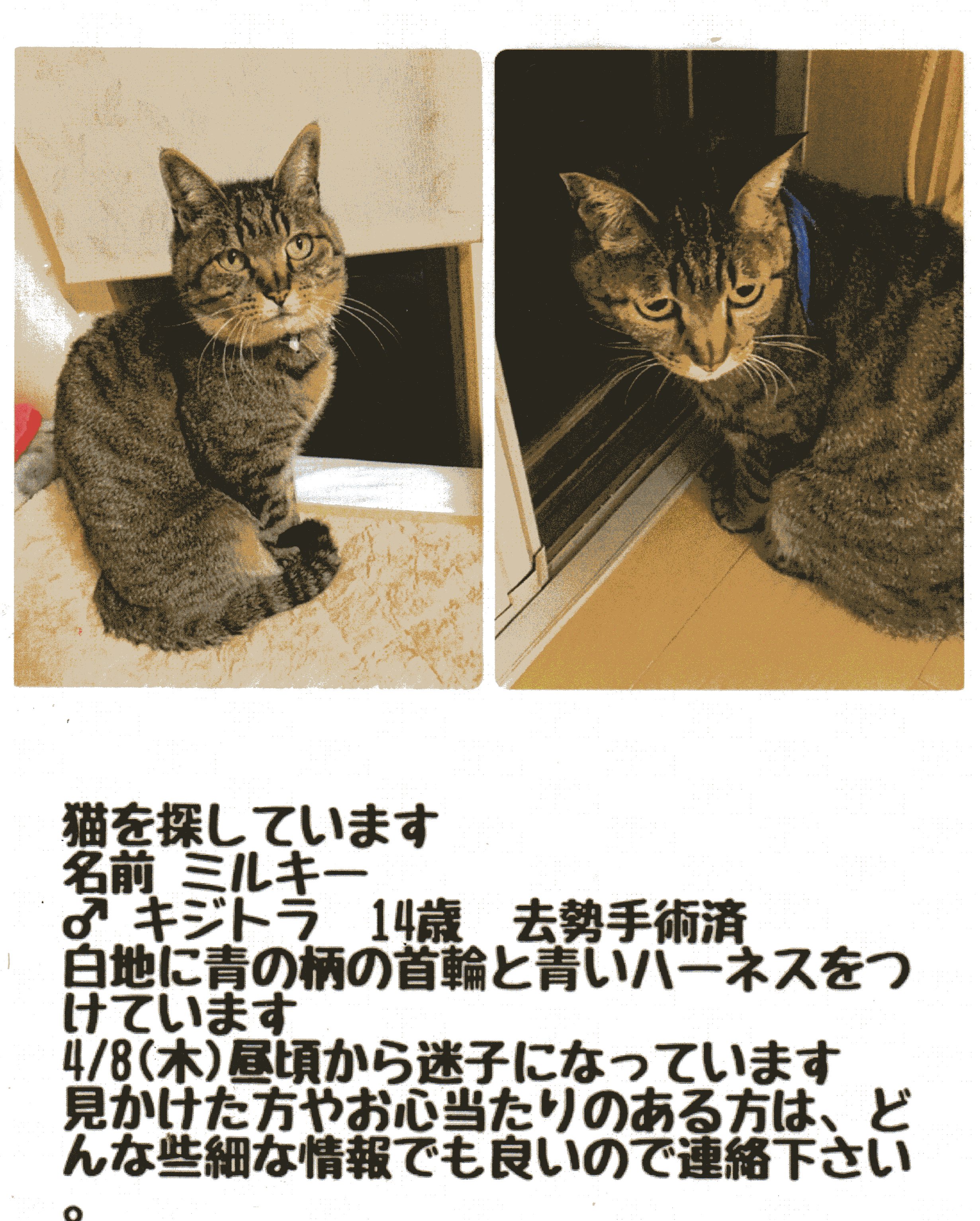 210412　熊坂CAT