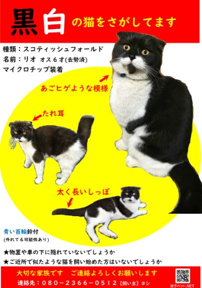 201016　中村cat