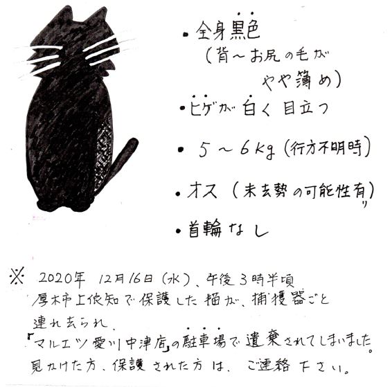 201220　熊坂cat