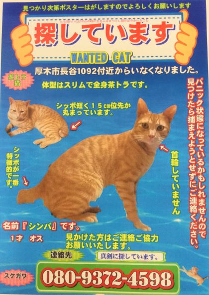 吉岡cat　20200918