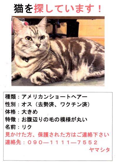210607　熊坂cat