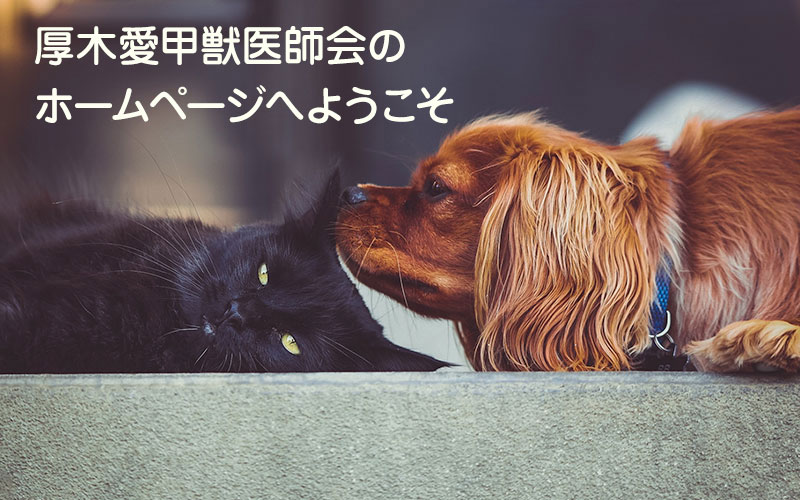 厚木愛甲獣医師会