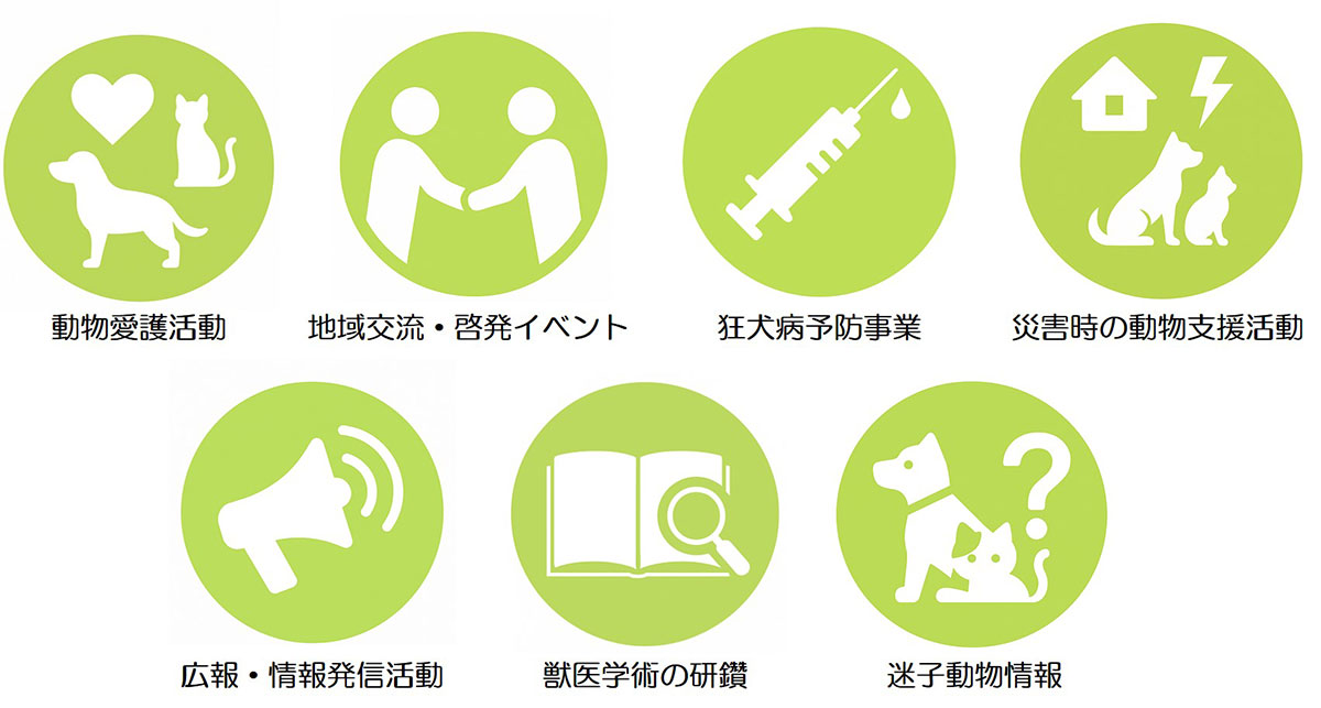 活動内容